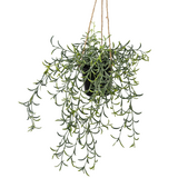 Greenmoods Kunstig hengende Senecio i potte 35cm Greenmoods Kunstig hengende Senecio i potte 35cm