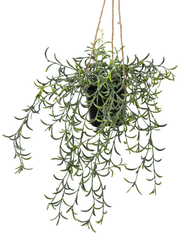 Greenmoods Kunstig hengende Senecio i potte 35cm