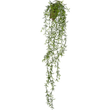 Greenmoods Kunstig hengende Senecio 86cm Greenmoods Kunstig hengende Senecio 86cm
