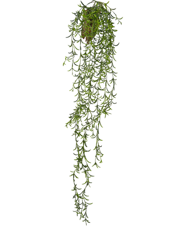 Greenmoods Kunstig hengende Senecio 86cm