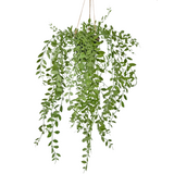 Greenmoods Kunstig hengende Pumila i potte 55cm Greenmoods Kunstig hengende Pumila i potte 55cm