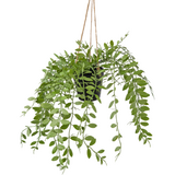 Greenmoods Kunstig hengende Pumila i potte 30cm Greenmoods Kunstig hengende Pumila i potte 30cm