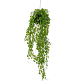 Greenmoods Kunstig hengende Sukkulent på løk 78cm Greenmoods Kunstig hengende Sukkulent på løk 78cm