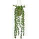 Greenmoods Kunstig hengende Senecio i potte 55cm