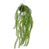 Greenmoods Kunstig Hengende Phlegmariurus på ball 55cm Greenmoods Kunstig Hengende Phlegmariurus på ball 55cm