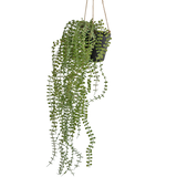 Greenmoods Kunstig Hengende Pumila i potte 81cm Greenmoods Kunstig Hengende Pumila i potte 81cm