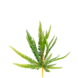 Greenmoods Kunstig plante Bregne 55cm