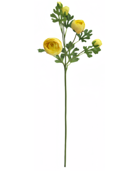 Greenmoods Kunstig Ranunkelgren x5 Real Touch gul 62cm