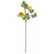 Greenmoods Kunstig Ranunkelgren x5 Real Touch gul 62cm
