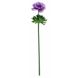 Greenmoods Kunstig Anemone Real Touch lilla 52cm Greenmoods Kunstig Anemone Real Touch lilla 52cm