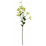 Greenmoods Kunstig Koreakornell Real Touch Lys gul 74cm Greenmoods Kunstig Koreakornell Real Touch Lys gul 74cm