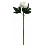 Greenmoods Kunstig Peon Real Touch Hvit 58cm Greenmoods Kunstig Peon Real Touch Hvit 58cm