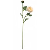 Greenmoods Kunstig Ranunkel Real Touch Krem 60cm Greenmoods Kunstig Ranunkel Real Touch Krem 60cm