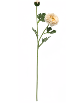 Greenmoods Kunstig Ranunkel Real Touch Krem 60cm Greenmoods Kunstig Ranunkel Real Touch Krem 60cm