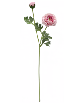 Greenmoods Kunstig Ranunkel Real Touch Rosa 60cm Greenmoods Kunstig Ranunkel Real Touch Rosa 60cm