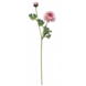 Greenmoods Kunstig Ranunkel Real Touch Rosa 60cm