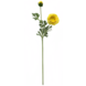 Greenmoods Kunstig Ranunkel Real Touch Gul 60cm