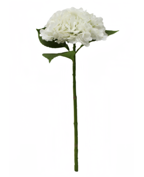 Greenmoods Kunstig Hortensia "Annabelle" Real Touch Hvit 55cm Greenmoods Kunstig Hortensia "Annabelle" Real Touch Hvit 55cm