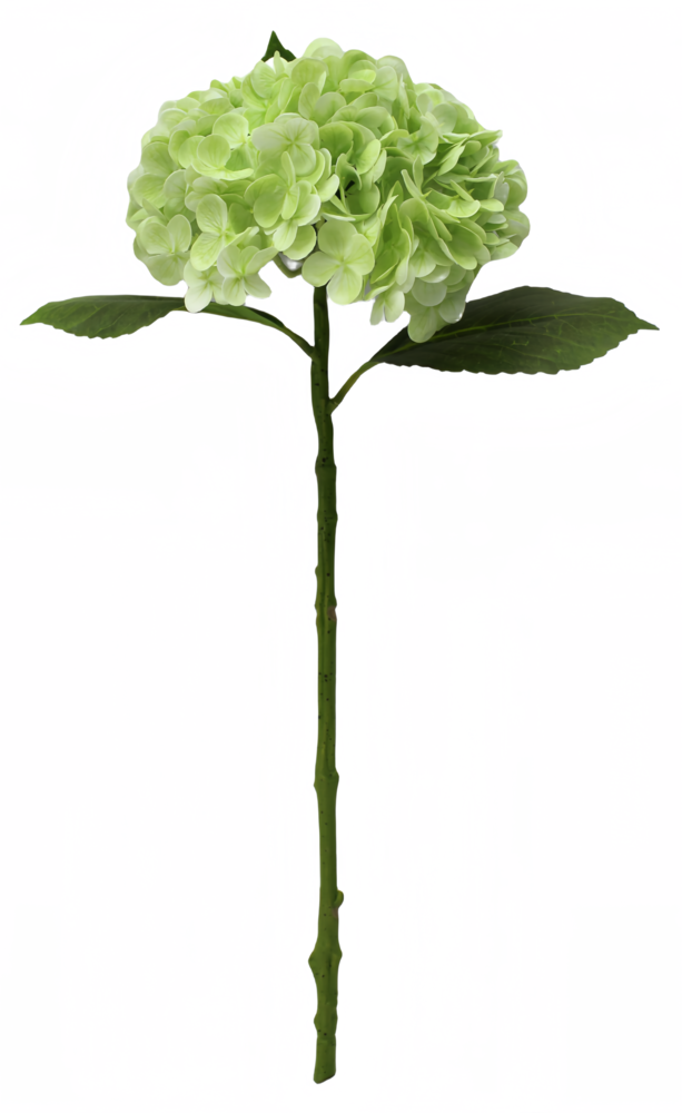 Greenmoods Kunstig Hortensia "Annabelle" Real Touch Grønn 55cm