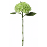 Greenmoods Kunstig Hortensia "Annabelle" Real Touch Grønn 55cm Greenmoods Kunstig Hortensia "Annabelle" Real Touch Grønn 55cm