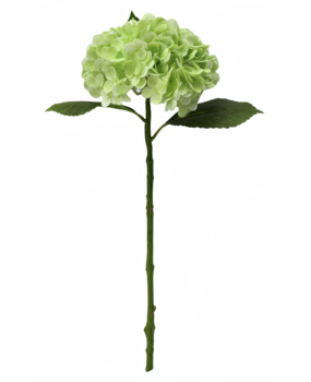 Greenmoods Kunstig Hortensia "Annabelle" Real Touch Grønn 55cm Greenmoods Kunstig Hortensia "Annabelle" Real Touch Grønn 55cm