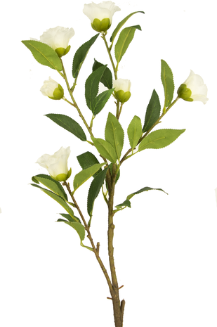 Greenmoods Kunstig Camellia Blomstergren Hvit 80cm