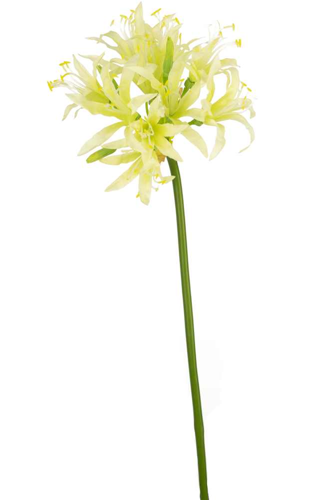 Greenmoods Kunstig Nerine 70cm