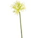 Greenmoods Kunstig Nerine 70cm