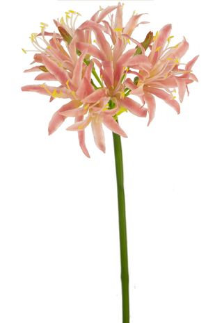 Greenmoods Kunstig Nerine Rosa 70cm