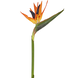 Greenmoods Kunstig Strelitzia Blomst Rød/Lilla 80cm