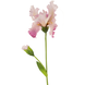 Greenmoods Kunstig Iris Blomst Rosa 80cm