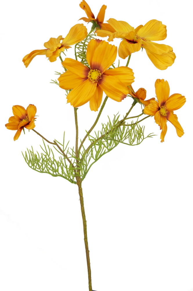 Greenmoods Kunstig Blomst Cosmos Oransje 74cm