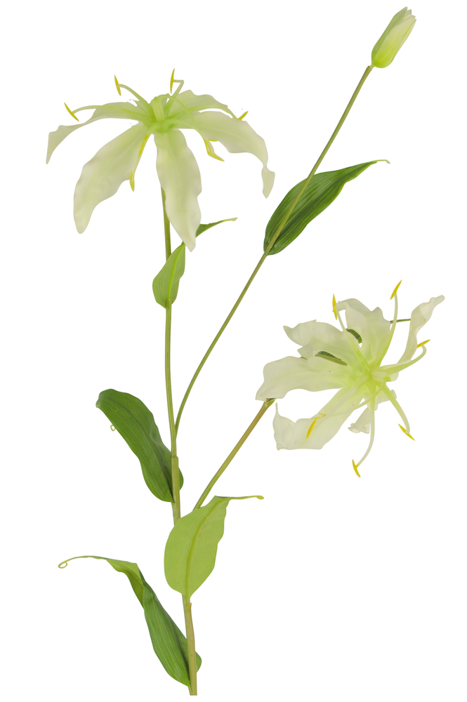 Greenmoods Kunstig Gloriosa Stilk Hvit 81cm