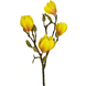 Greenmoods Kunstig Magnolia Gren Gul 50cm