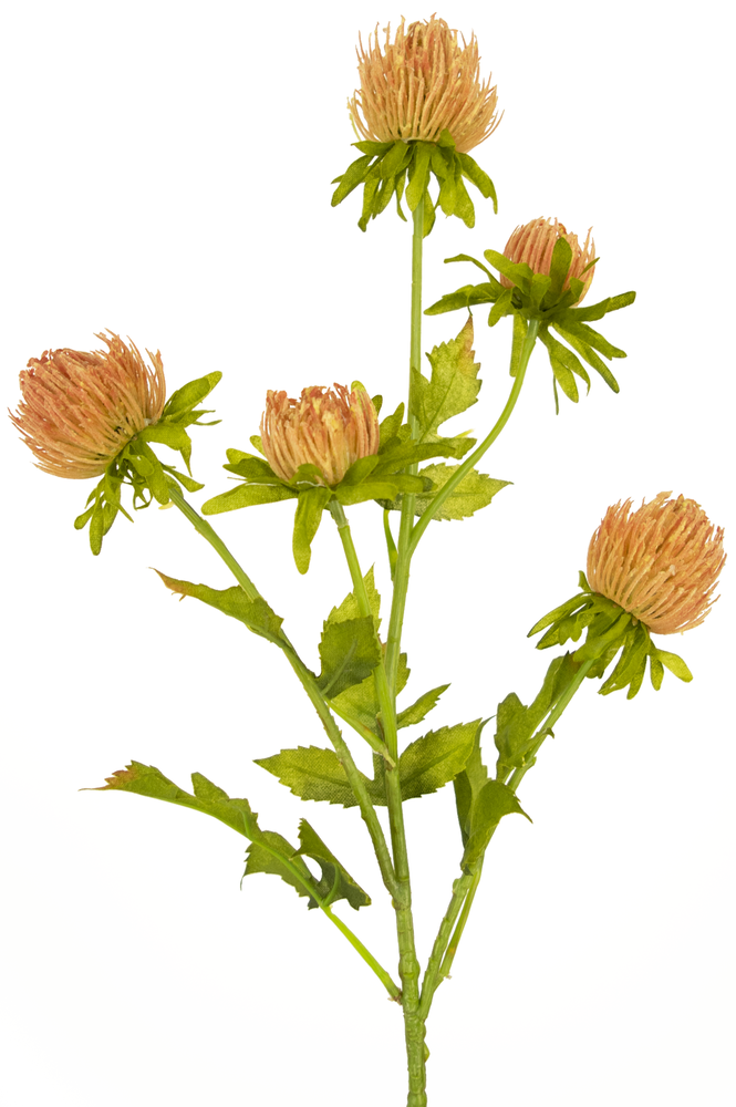 Greenmoods Kunstig Tistel Fersken 66cm