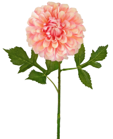 Greenmoods Kunstig Georgine Dahlia Rosa 50cm