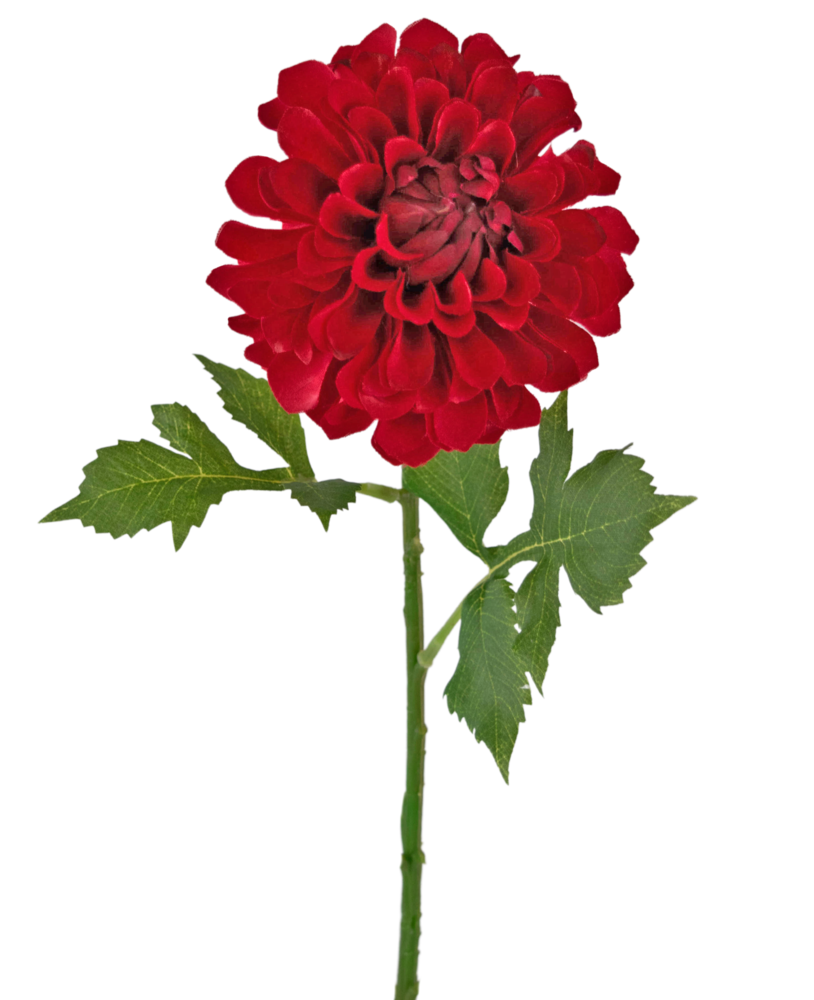Greenmoods Kunstig Georgine Dahlia Rød 50cm
