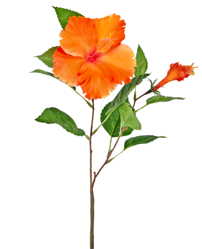 Greenmoods Kunstig Hibiscus Oransje 73cm