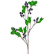 Greenmoods Kunstig gren Berry 76 cm lilla