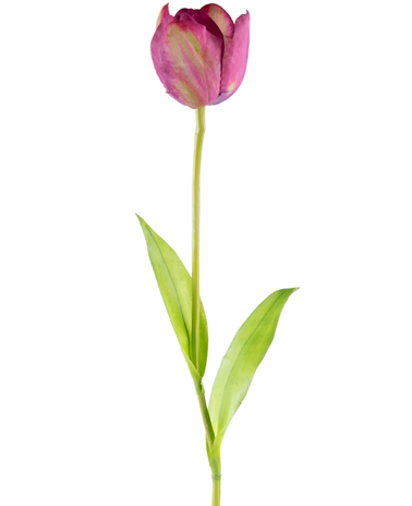 Greenmoods Kunstig blomst Fransk Tulipan 60 cm lilla