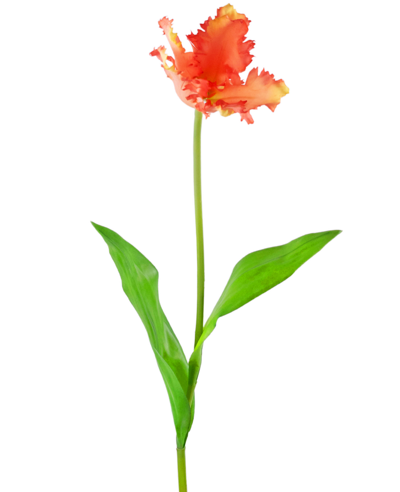 Greenmoods Kunstig blomst Fransk Parakeet Tulip 76 cm korall