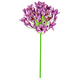 Greenmoods Kunstig blomst Agapanthus 75 cm lilla