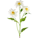 Greenmoods Kunstig blomst Daisy 76 cm hvit