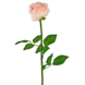Greenmoods Kunstig Rose Classic Lys Rosa 54cm