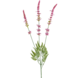 Greenmoods Kunstig gren Lavendel 66 cm lilla