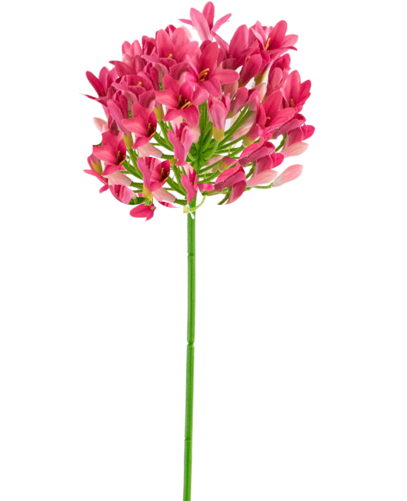 Greenmoods Kunstig Agapanthus Rosa 75cm