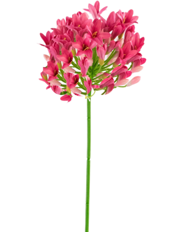 Greenmoods Kunstig Agapanthus Rosa 75cm