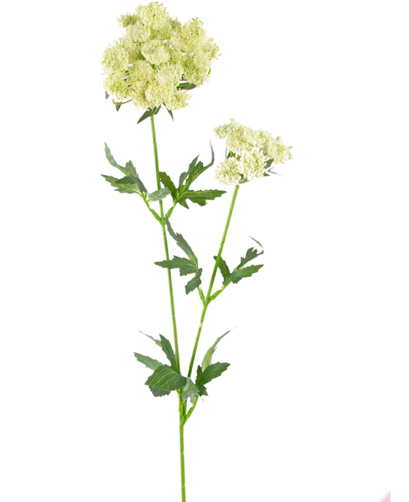 Greenmoods Kunstig blomst Blondeblomst 76 cm hvit
