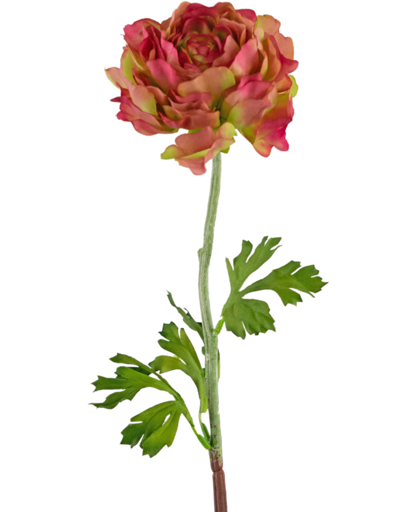 Greenmoods Kunstig blomst Ranunculus 51 cm rosa/grønn
