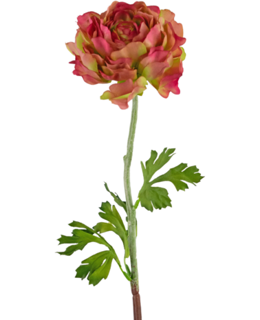 Greenmoods Kunstig blomst Ranunculus 51 cm rosa/grønn